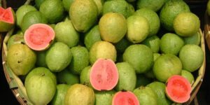 goiaba fruta